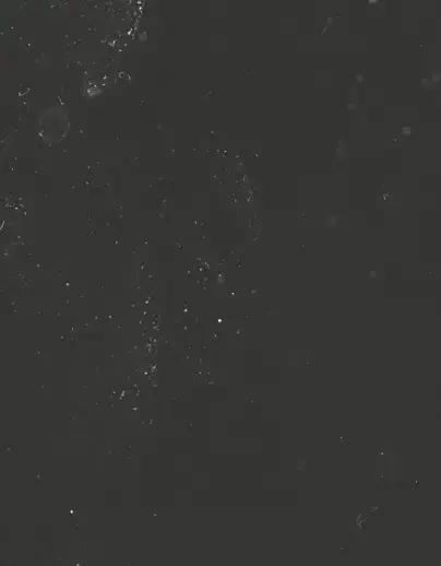 mega-menu-gif